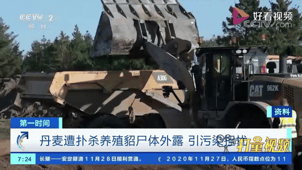 丹麦疫情更新？丹麦役情？-第6张图片-优品飞百科