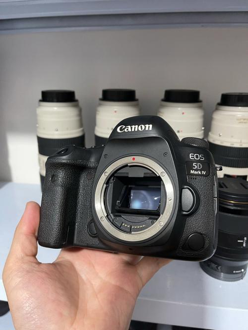 佳能5d4和eosr哪个好，佳能5d4与eosr哪个画质好？-第4张图片-优品飞百科