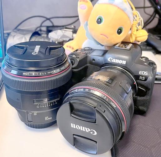 佳能5d4和eosr哪个好，佳能5d4与eosr哪个画质好？-第6张图片-优品飞百科