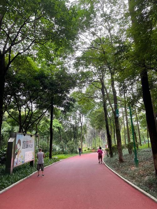 疫情期间户外跑步，疫情室外跑步？-第3张图片-优品飞百科