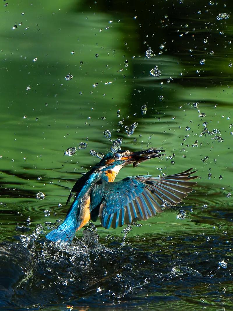 尼康d800如何拍摄延时摄影，尼康d810如何拍延时？-第4张图片-优品飞百科