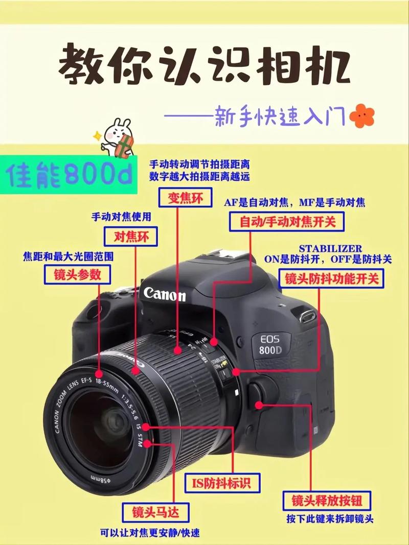 尼康d800如何拍摄延时摄影，尼康d810如何拍延时？-第7张图片-优品飞百科