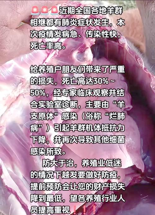 炭疽疫情症状，炭疽疫情症状表现-第5张图片-优品飞百科