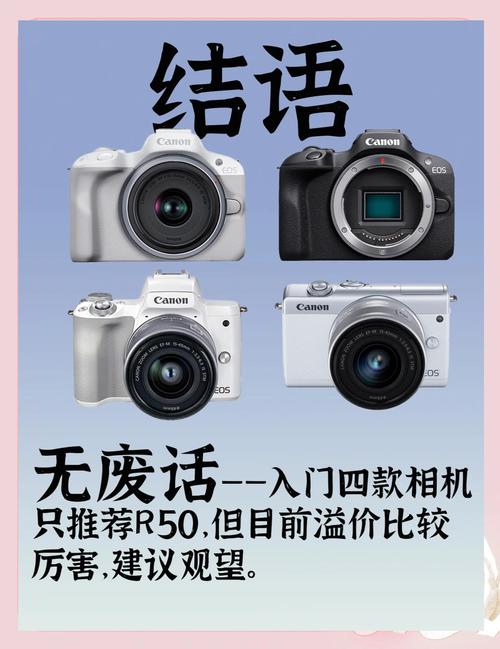 sony微单入门级推荐？索尼微单入门级推荐？-第4张图片-优品飞百科