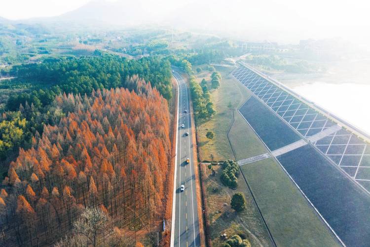 广德市疫情？广德市疫情最新消息？-第2张图片-优品飞百科