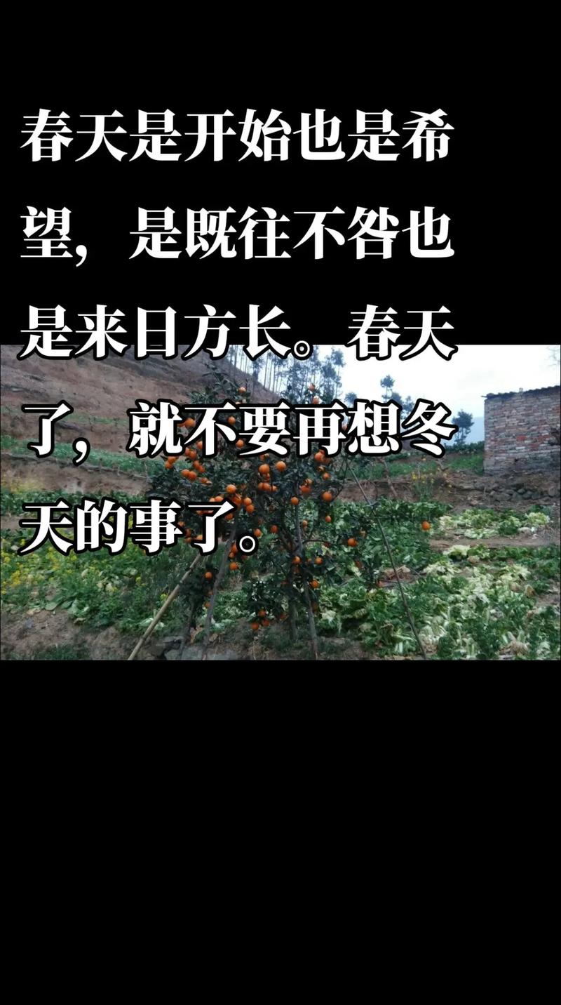春天疫情散去？疫情春天文案？-第1张图片-优品飞百科