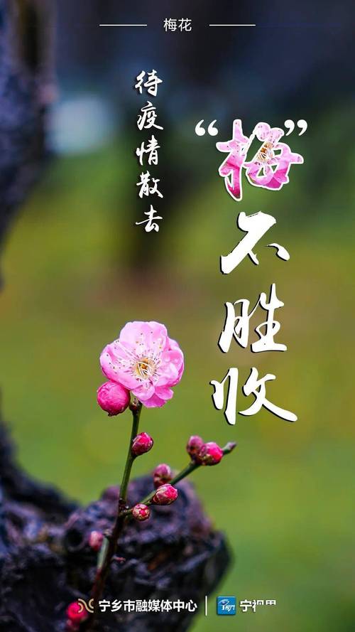 春天疫情散去？疫情春天文案？-第5张图片-优品飞百科