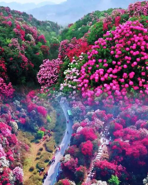 贵州天气预报查询？贵州天气预报查询表？-第4张图片-优品飞百科