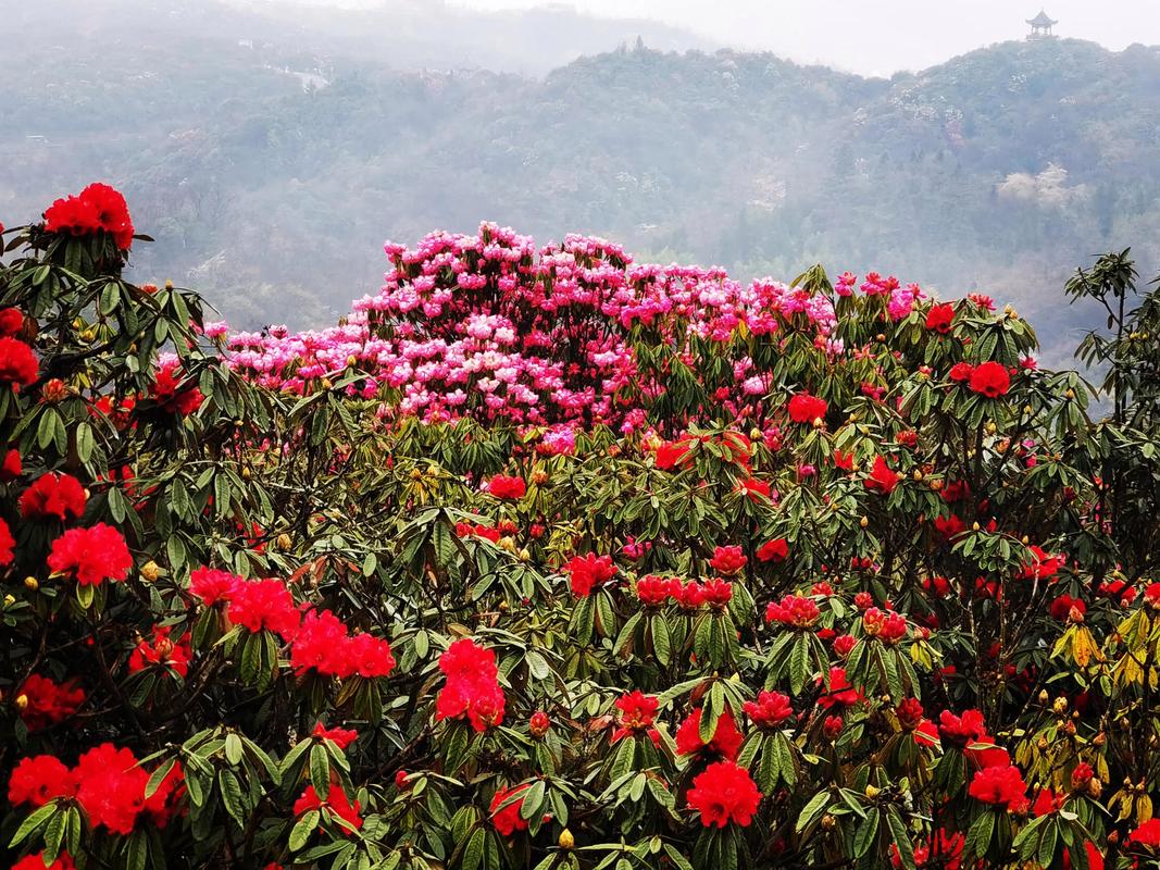 贵州天气预报查询？贵州天气预报查询表？-第5张图片-优品飞百科