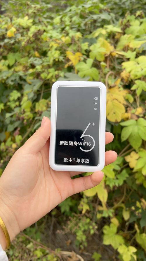 随身wifi一般在哪里买，随身wifi一般在哪里买便宜-第5张图片-优品飞百科