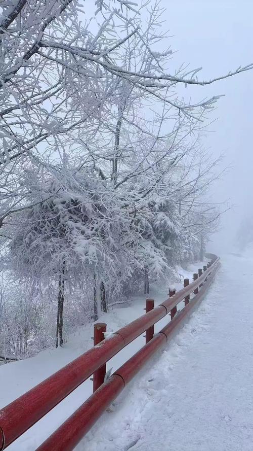 温州天气预报15天？温州天气预报15天查询？-第4张图片-优品飞百科