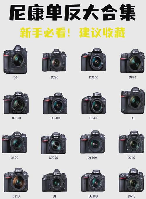 选尼康z9还是z7二代？尼康z7和z7二代区别？-第4张图片-优品飞百科