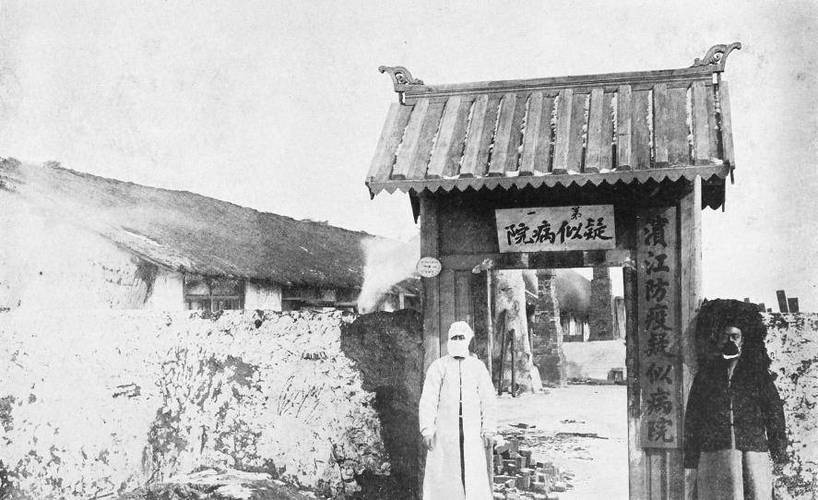 鼠疫情爆发？鼠疫大爆发死了多少人？-第2张图片-优品飞百科