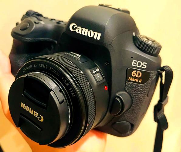 佳能6d费用怎么这么低，佳能6d价位-第1张图片-优品飞百科