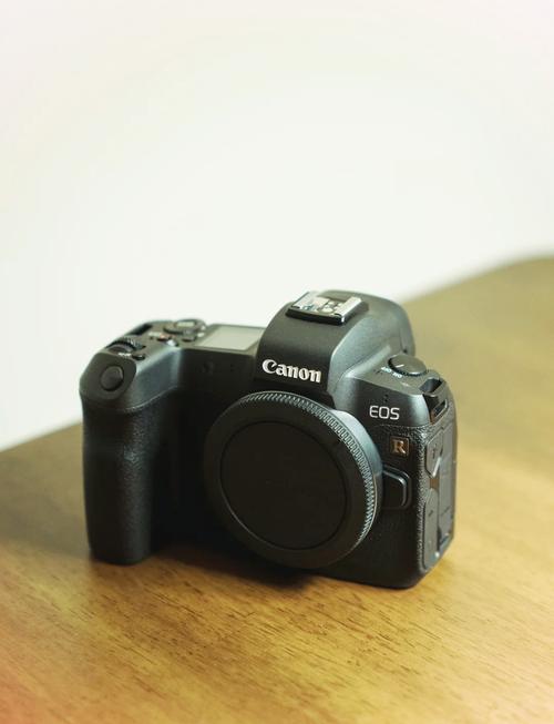 佳能5d4和eosr哪个更好，佳能5d4跟佳能eos r选哪个好?-第6张图片-优品飞百科