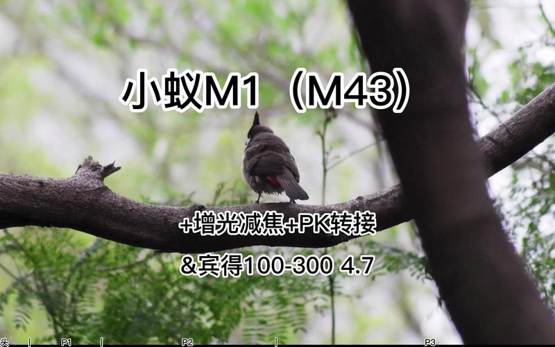 imx269传感器尺寸多大?imx291传感器参数?-第2张图片-优品飞百科 imx269传感器尺寸多大?imx291传感器参数?-第2张图片-优品飞百科