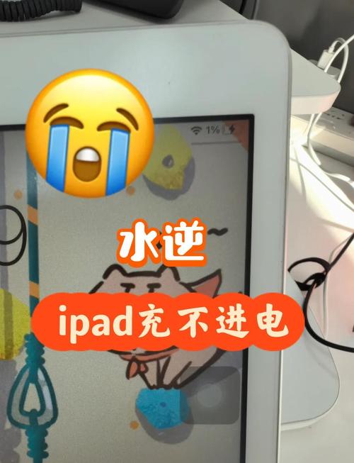 冬天苹果平板充不进去电怎么办，苹果平板电脑冬天怎么充不进去电？-第3张图片-优品飞百科