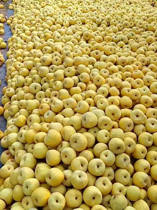 砀山非典疫情，砀山非典疫情防控电话-第1张图片-优品飞百科