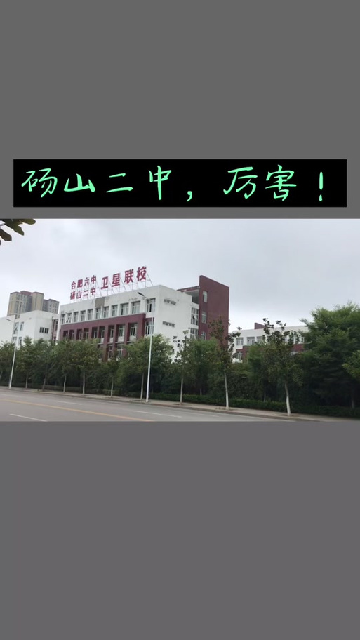 砀山非典疫情，砀山非典疫情防控电话-第3张图片-优品飞百科