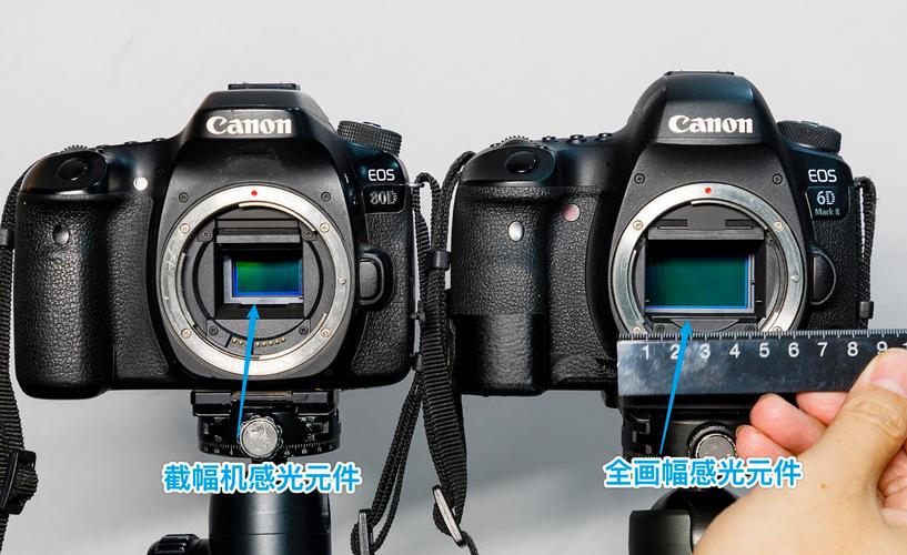 sonya7r2配什么镜头？索尼a7r2a7m2a7s2？-第1张图片-优品飞百科