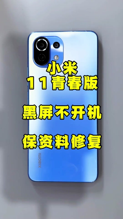 小米11青春版什么处理器，小米11青春版手机什么处理器-第4张图片-优品飞百科