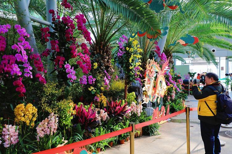 疫情兰花节?辛庄兰花节?-第2张图片-优品飞百科 疫情兰花节?辛庄兰花节?-第2张图片-优品飞百科