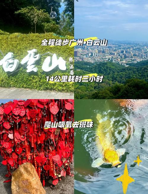 疫情兰花节?辛庄兰花节?-第4张图片-优品飞百科 疫情兰花节?辛庄兰花节?-第4张图片-优品飞百科