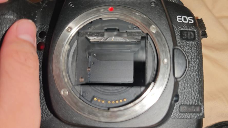 佳能350d有自动对焦吗？佳能350d怎么对焦？-第8张图片-优品飞百科