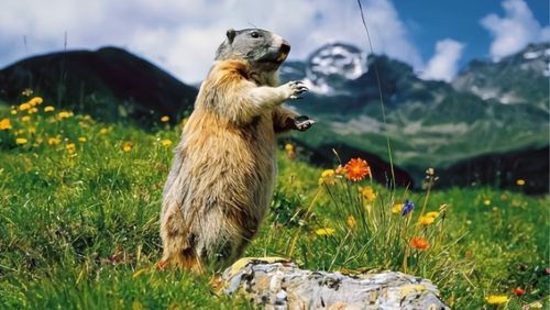 全国疫情每天通报，全国疫情每天通报多少例-第6张图片-优品飞百科