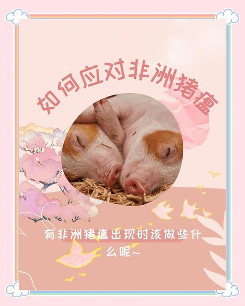猪爆发疫情，猪温疫暴发-第5张图片-优品飞百科