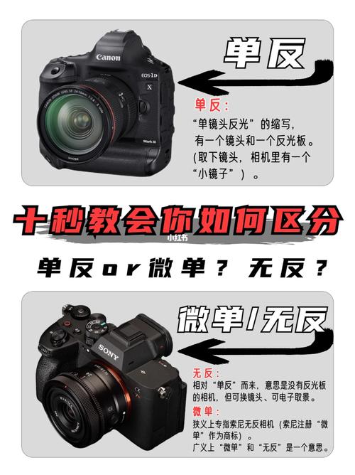 数码相机是无反相机吗，数码相机有摄影功能吗？-第4张图片-优品飞百科