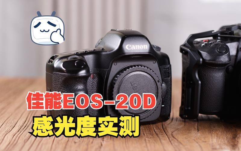 佳能20d可以屏幕取景吗？佳能20d使用教程？-第5张图片-优品飞百科