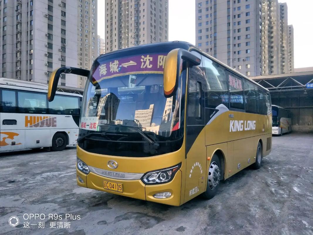 海城疫情查报，海城疫情防控-第2张图片-优品飞百科