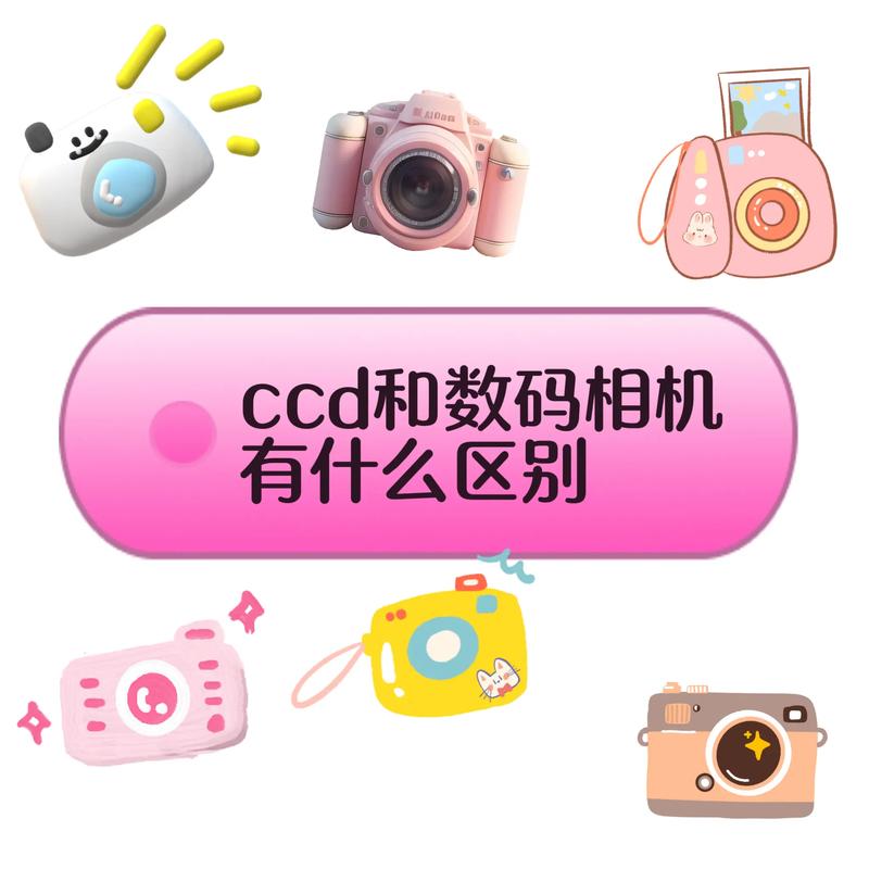 数码相机和照相机的区别，数码相机和照相机的区别在哪里？-第3张图片-优品飞百科