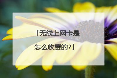 无线网卡有月租吗，无线网卡月费多少