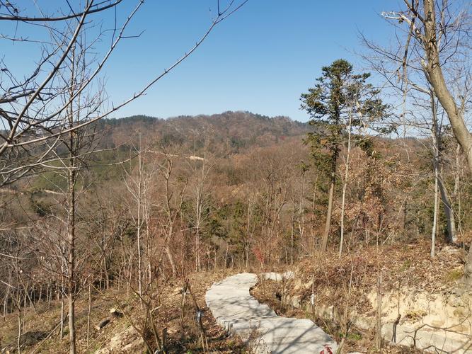 孝昌疫情公布？孝昌肺炎疫情最新通告？-第2张图片-优品飞百科