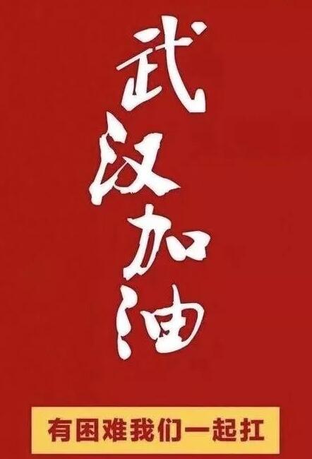 武汉疫情成果，武汉疫情成果图片-第6张图片-优品飞百科