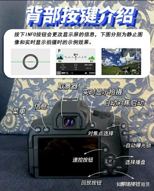 佳能80d与850d哪个更值得入手？佳能80d跟850d？-第1张图片-优品飞百科