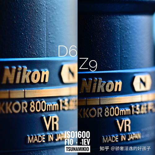 尼康d6和z9选哪个好，尼康z6ii和尼康d780？-第4张图片-优品飞百科