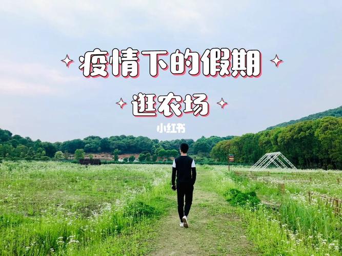 疫情放假感受？疫情放假感受心得？-第8张图片-优品飞百科