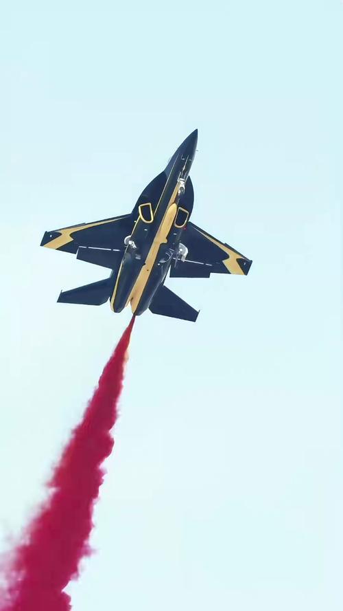 l15高级教练机性能参数？l15教练机数量？-第2张图片-优品飞百科