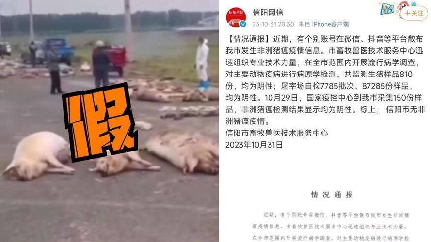 东北生猪疫情？东北生猪疫情最新消息？-第2张图片-优品飞百科