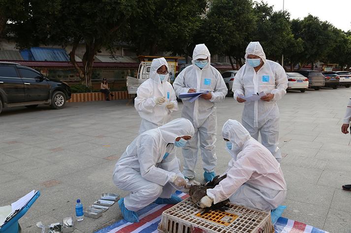 疫情动物发现，疫情动物会传染吗？-第4张图片-优品飞百科