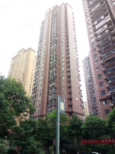 龙阳社区疫情？龙阳社区卫生服务中心？-第5张图片-优品飞百科