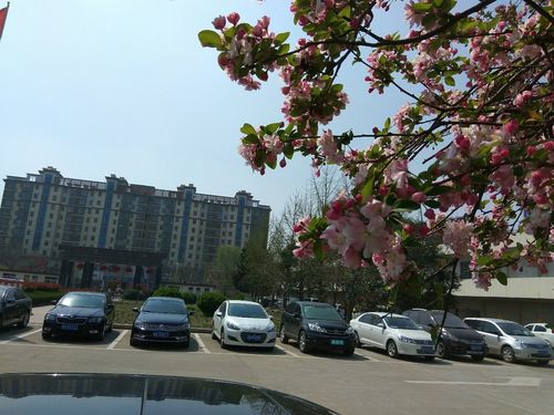 新沂疫情高速？新沂疫情高速封路了吗？-第6张图片-优品飞百科