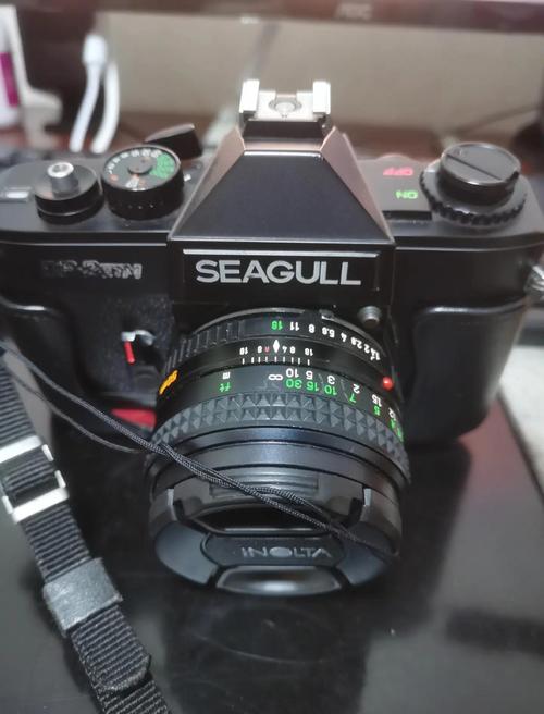 海鸥df2单反相机如何使用，海鸥df1相机使用-第4张图片-优品飞百科