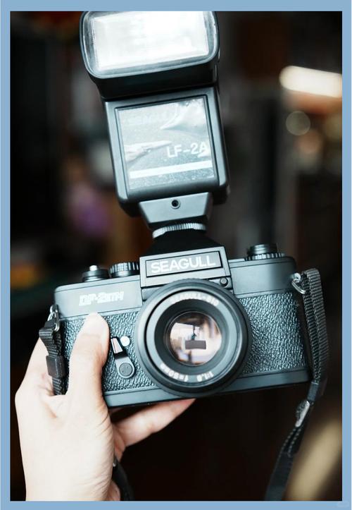 海鸥df2单反相机如何使用，海鸥df1相机使用-第5张图片-优品飞百科