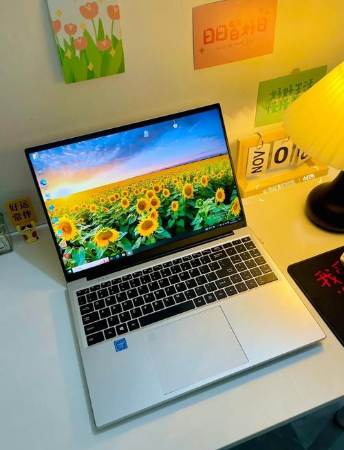 哪款二手笔记本值得买？哪一款二手笔记本值得入手？-第6张图片-优品飞百科