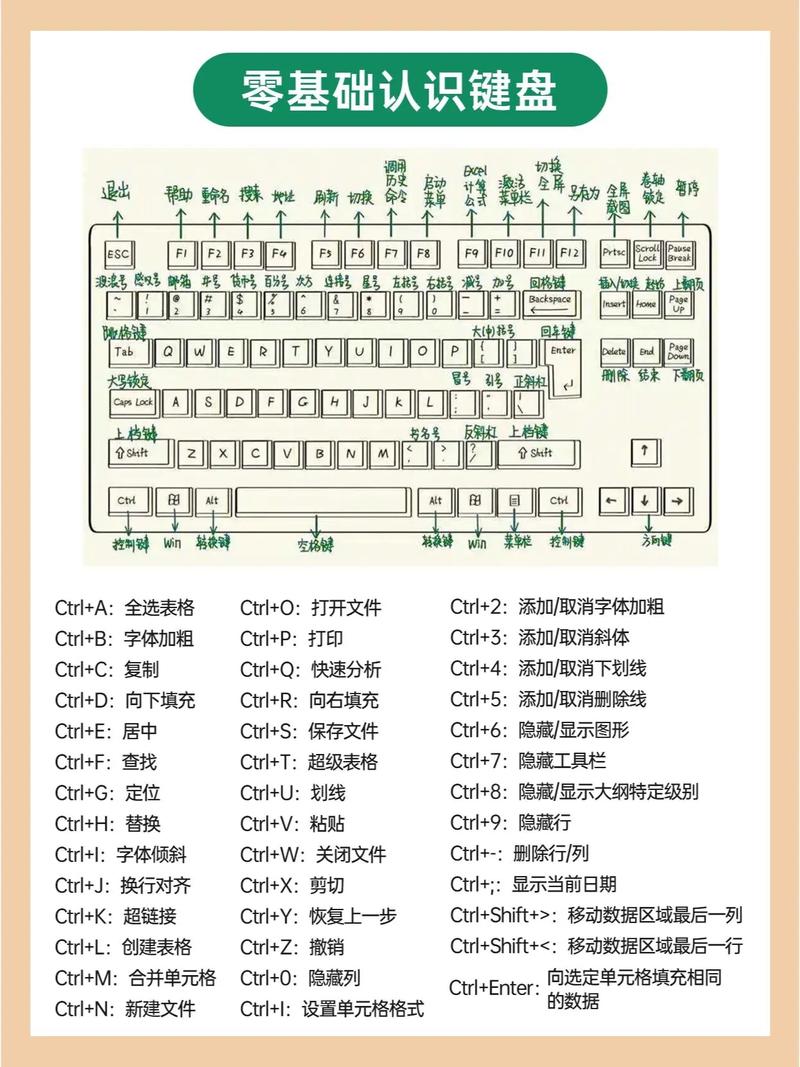 电脑各键的功能的基本知识，电脑键各个键的功能是什么？-第4张图片-优品飞百科