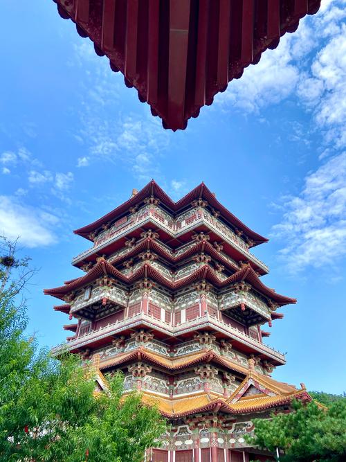 临湖社区疫情，临湖社区疫情最新消息-第1张图片-优品飞百科